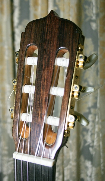 guitars 042_调整大小.jpg