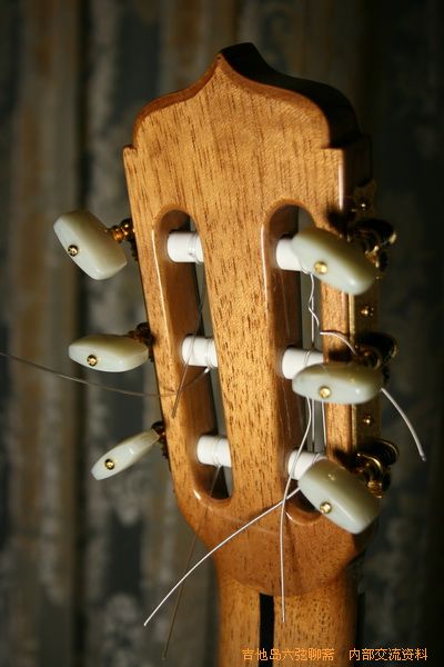 guitars 040_调整大小.jpg